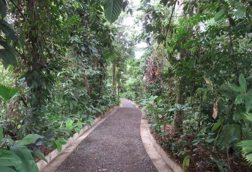 Hotelli Drake Bay Greenleaf