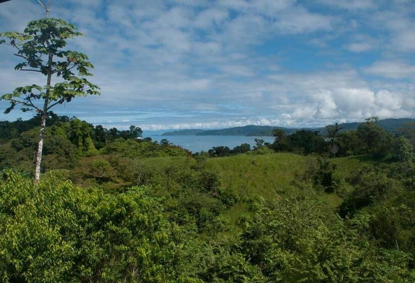 Отель Drake Bay Greenleaf