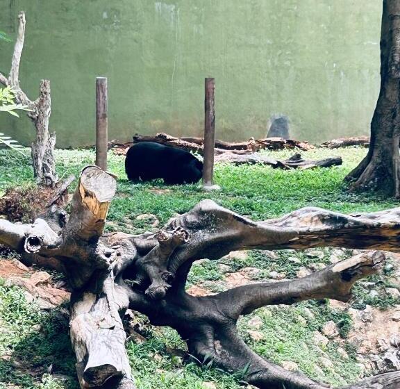 בית מלון כפרי Q One Plaza