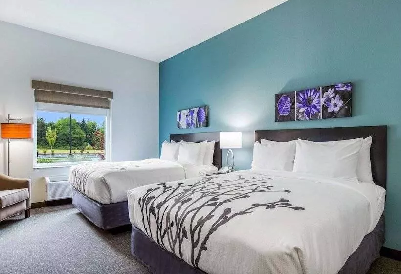 ホテル Sleep Inn Winfield  Teays Valley