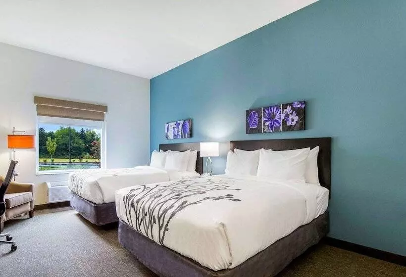 ホテル Sleep Inn Winfield  Teays Valley