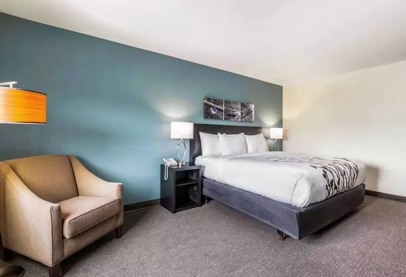 ホテル Sleep Inn Winfield  Teays Valley