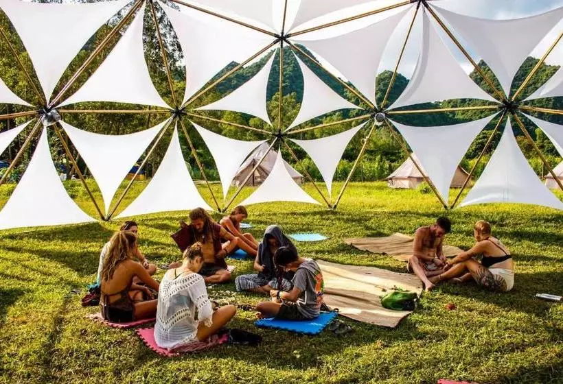 هاستل Woodstock Jungle Camp