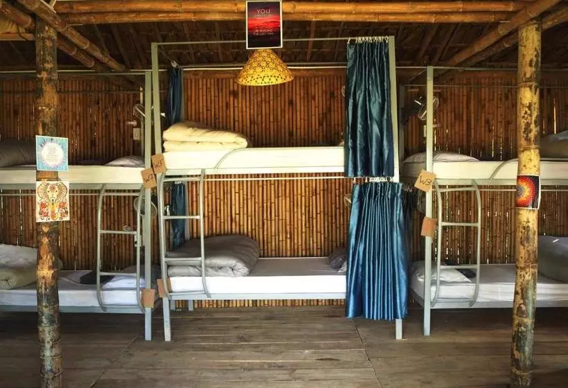 هاستل Woodstock Jungle Camp