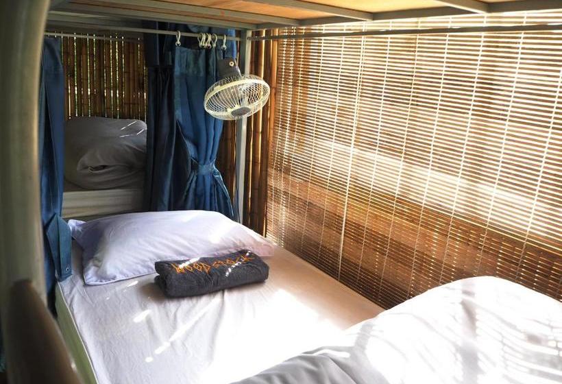 هاستل Woodstock Jungle Camp