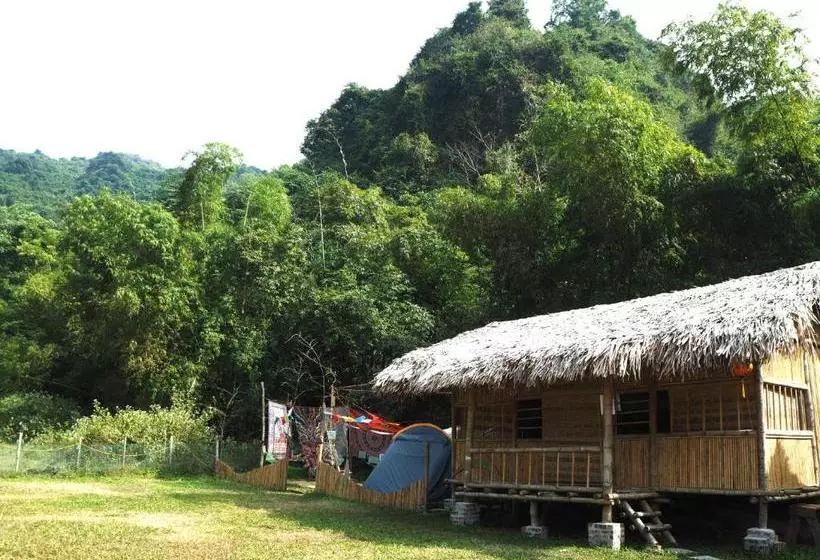 هاستل Woodstock Jungle Camp