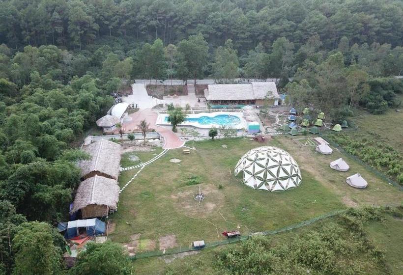 هاستل Woodstock Jungle Camp