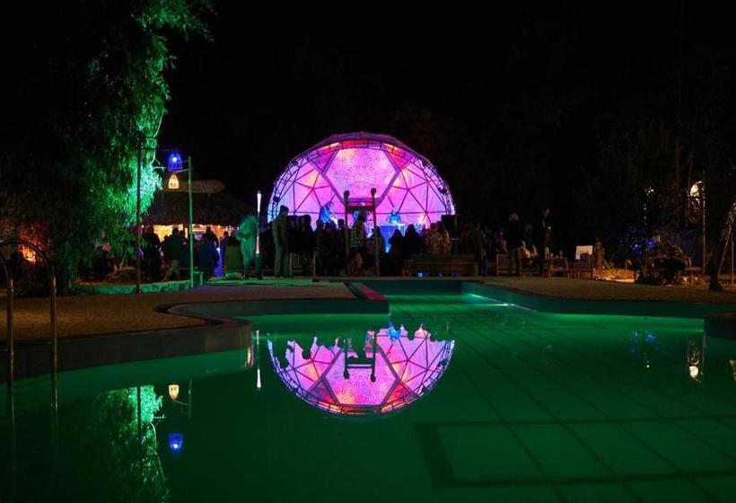 هاستل Woodstock Jungle Camp