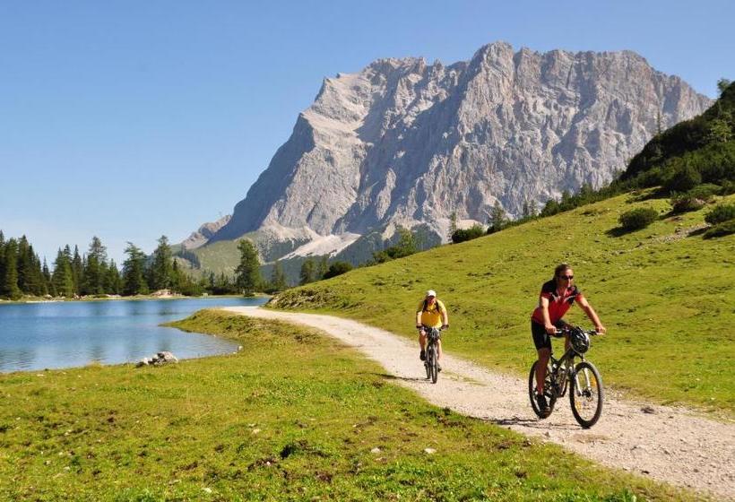 Отель Alpen Residence