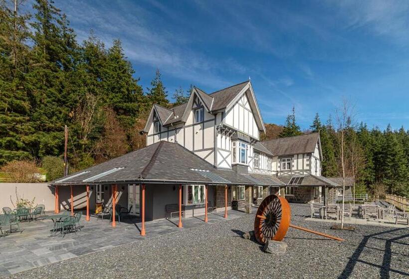 Hotel Plas Weunydd