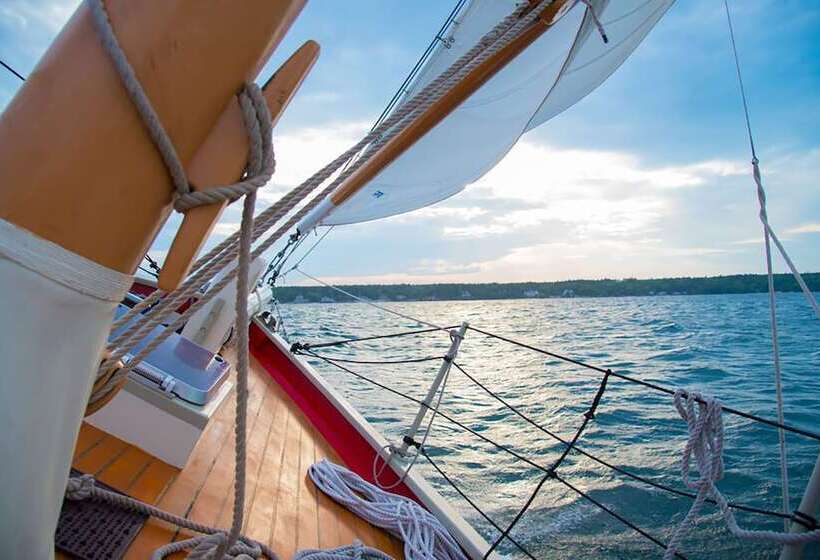 فندق The Docent S Collection