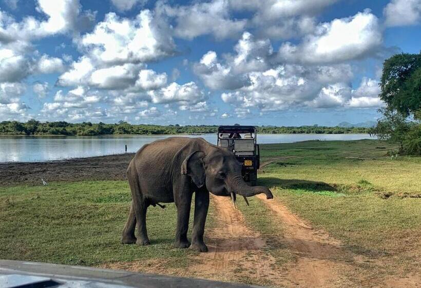 Пансион Mango Tree House