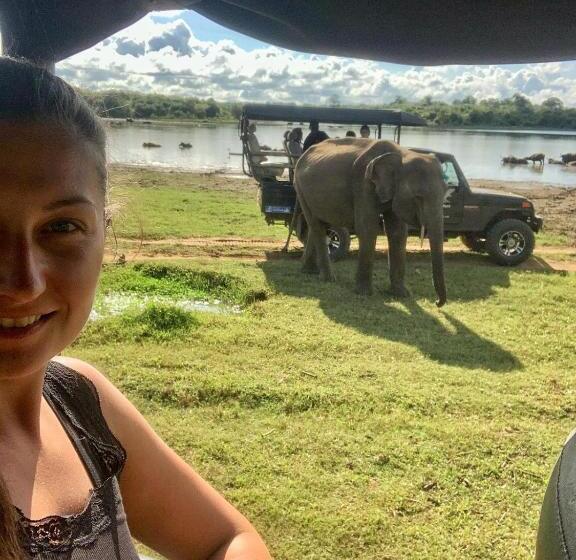 Пансион Mango Tree House