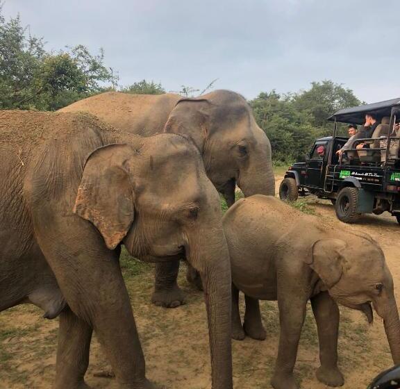 Пансион Mango Tree House