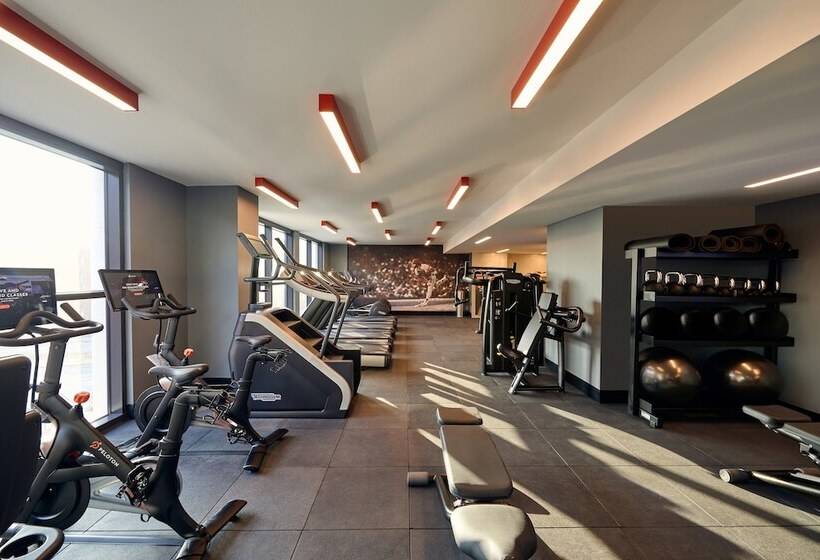 בית מלון כפרי Live! By Loews St. Louis