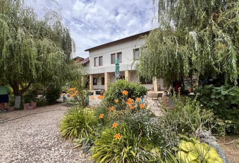 Pensiune Casa Vera, Tudor Vladimirescu
