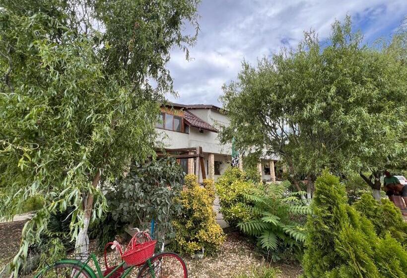 Пансион Casa Vera, Tudor Vladimirescu