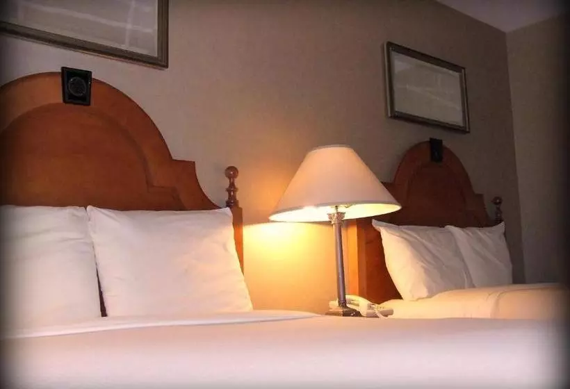 ホテル Ambassador Inn At Marquette