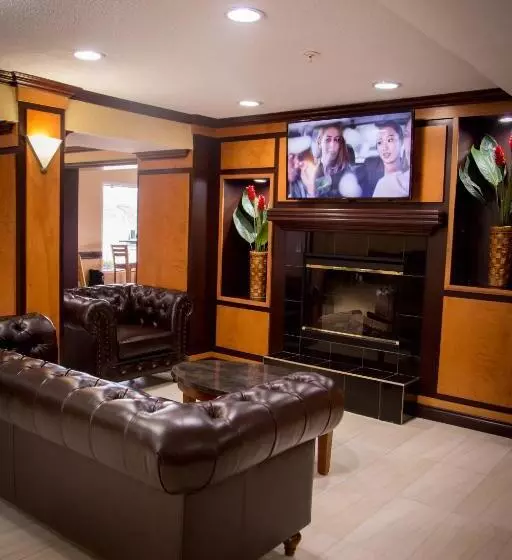 酒店 Baymont By Wyndham Madison Heights Detroit Area