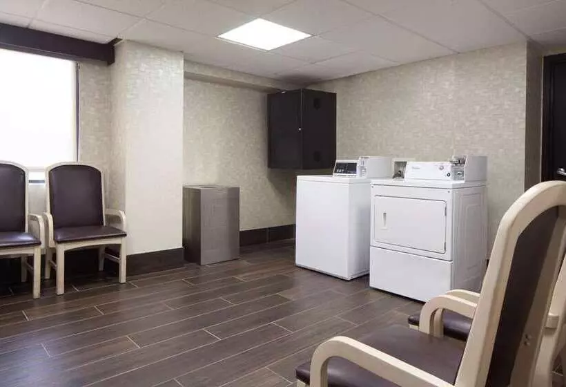 호텔 Embassy Suites By Hilton Houston Near The Galleria