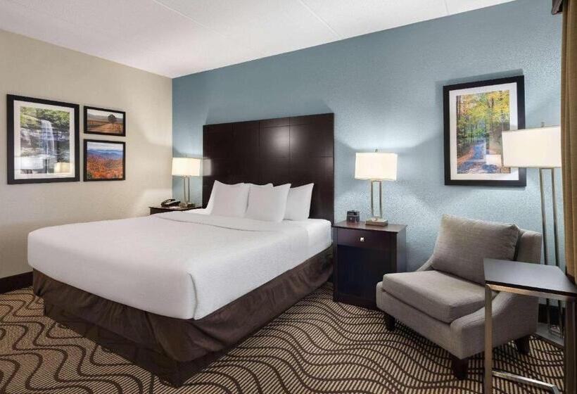 فندق La Quinta By Wyndham Knoxville Airport