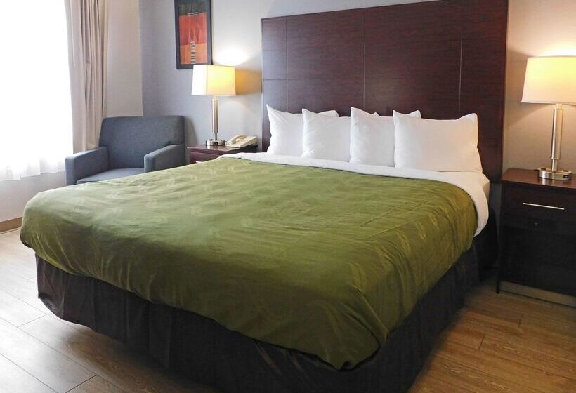 Otel Quality Inn Colchester Burlington