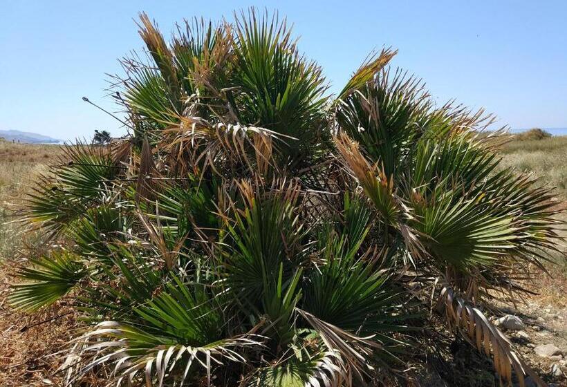 Bed and Breakfast Bnb Sant Alfonso