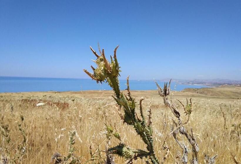 Bed and Breakfast Bnb Sant Alfonso