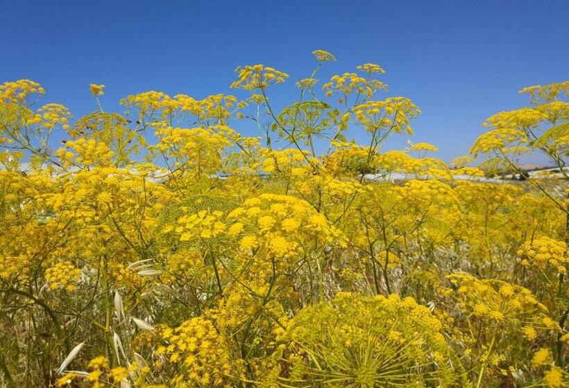 Bed and Breakfast Bnb Sant Alfonso