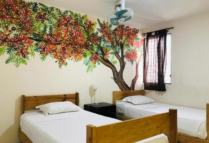 Casa Bugambilias Cancun Hostel