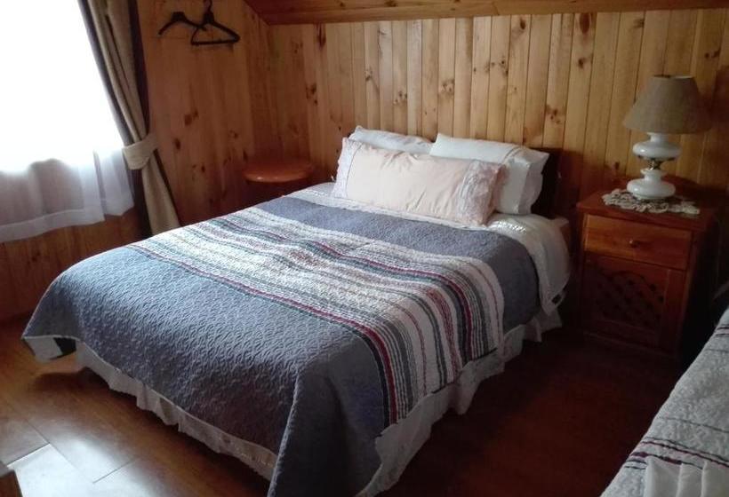 هاستل Hostal Monica