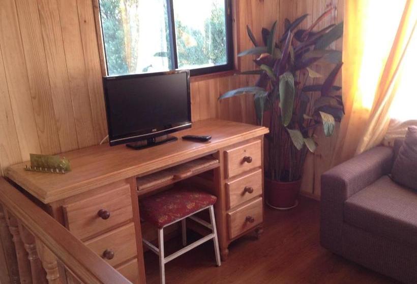 هاستل Hostal Monica