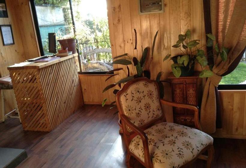 هاستل Hostal Monica