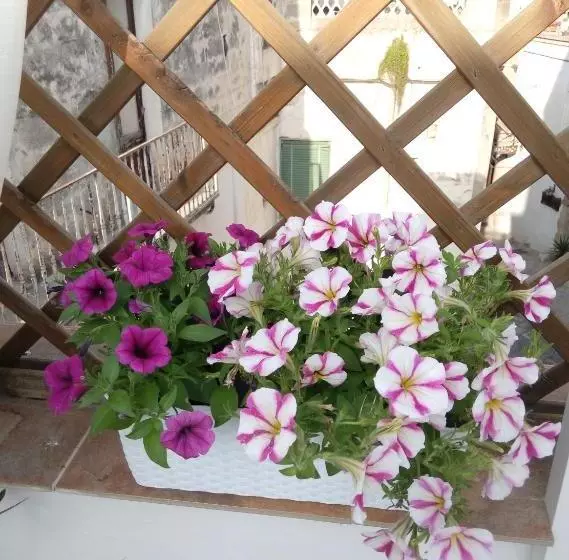 Casa Destradis B&b