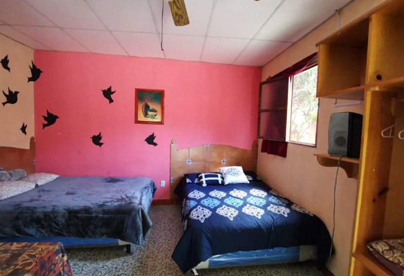 Bungalows Dos Americas