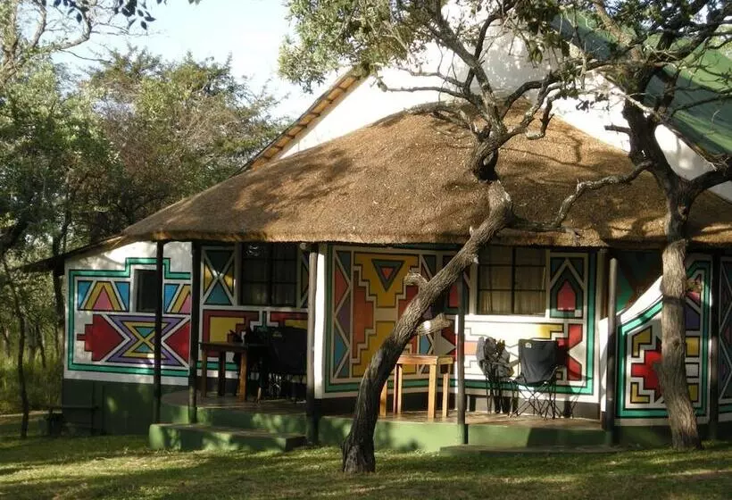 ホテル Timbavati Safari Lodge