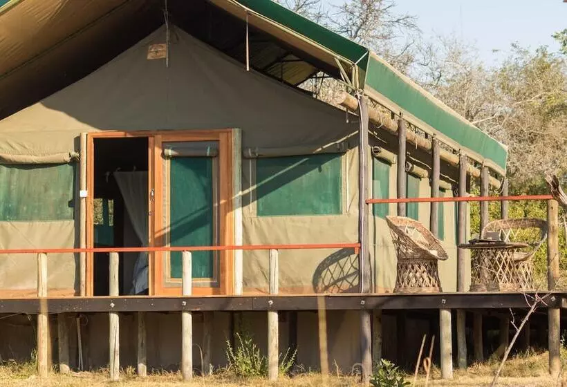 ホテル Timbavati Safari Lodge