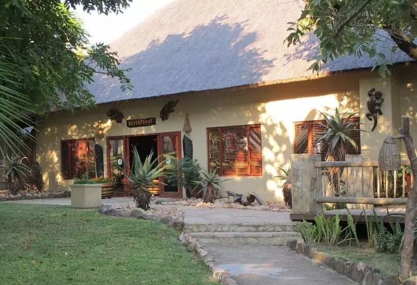 ホテル Timbavati Safari Lodge