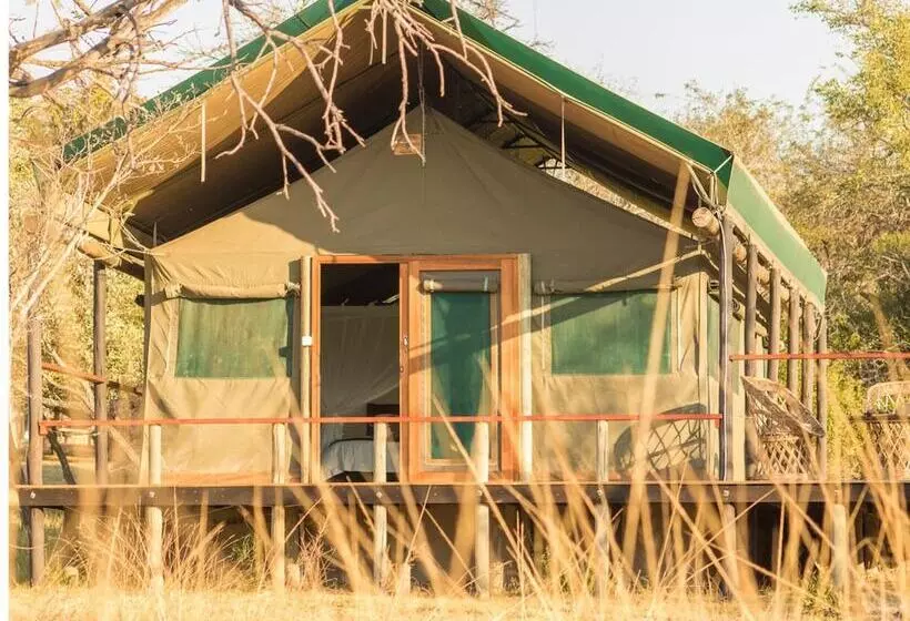 ホテル Timbavati Safari Lodge