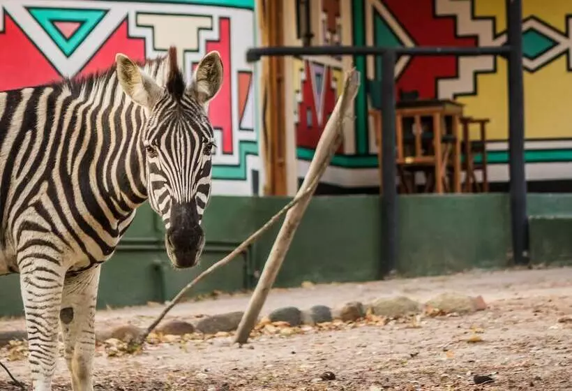 ホテル Timbavati Safari Lodge