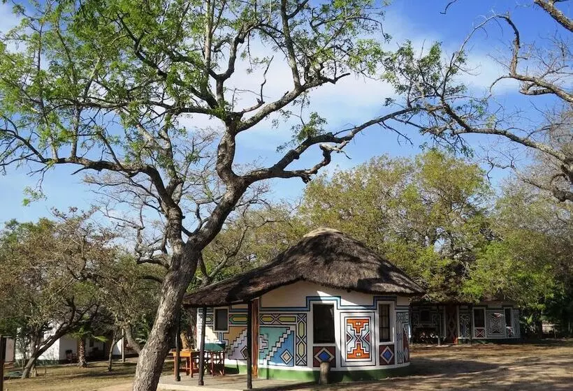 ホテル Timbavati Safari Lodge