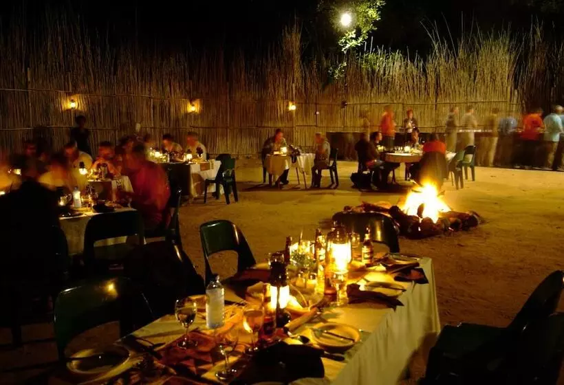 ホテル Timbavati Safari Lodge