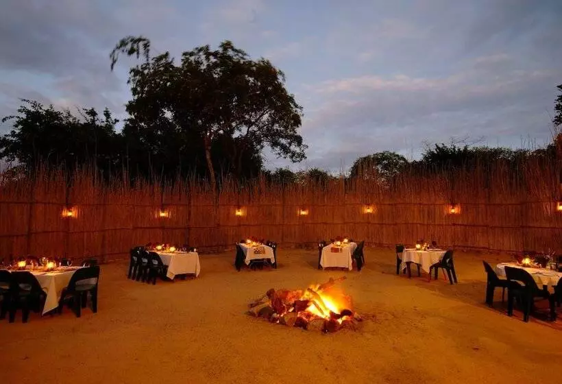ホテル Timbavati Safari Lodge