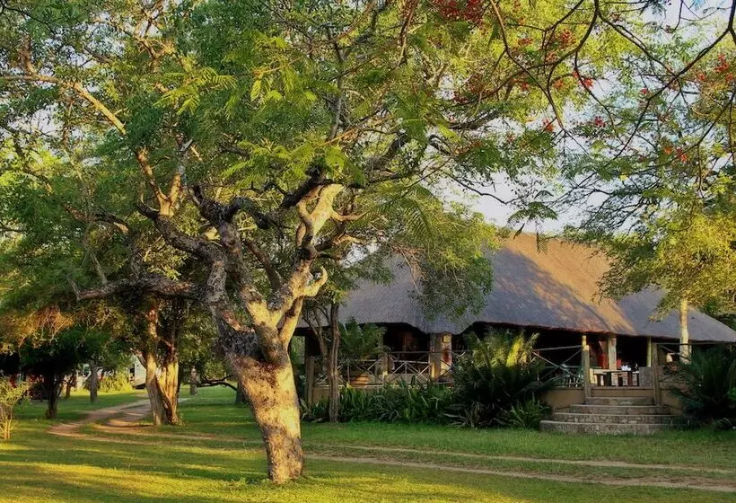ホテル Timbavati Safari Lodge