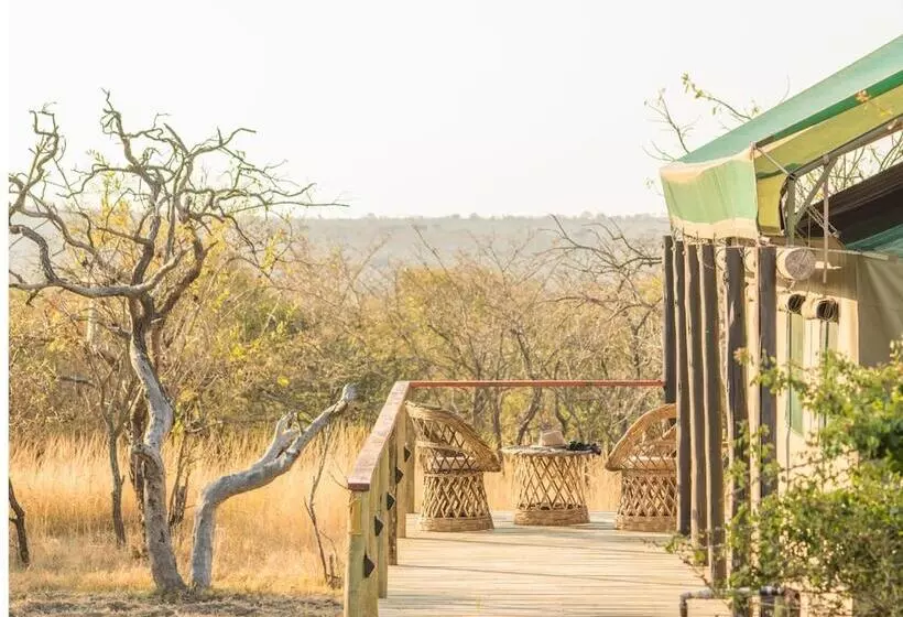 ホテル Timbavati Safari Lodge