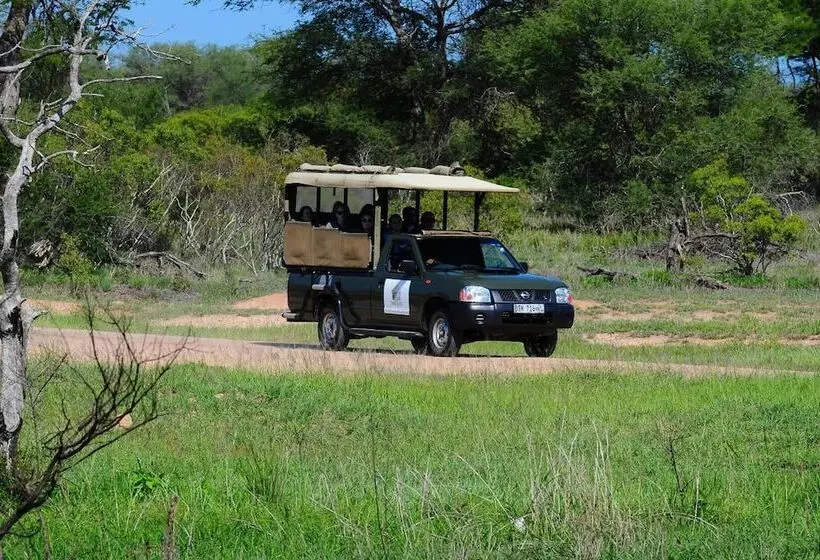 ホテル Timbavati Safari Lodge