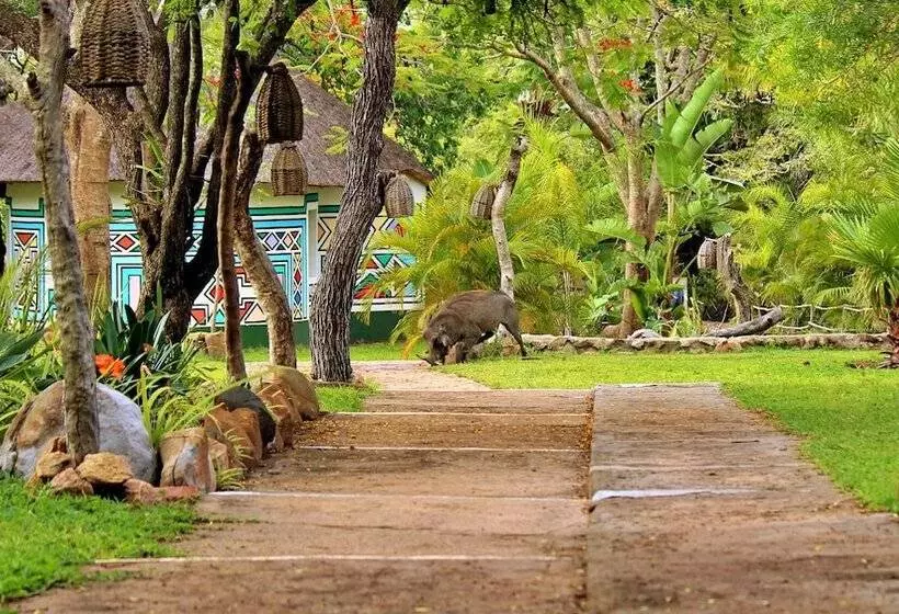 ホテル Timbavati Safari Lodge