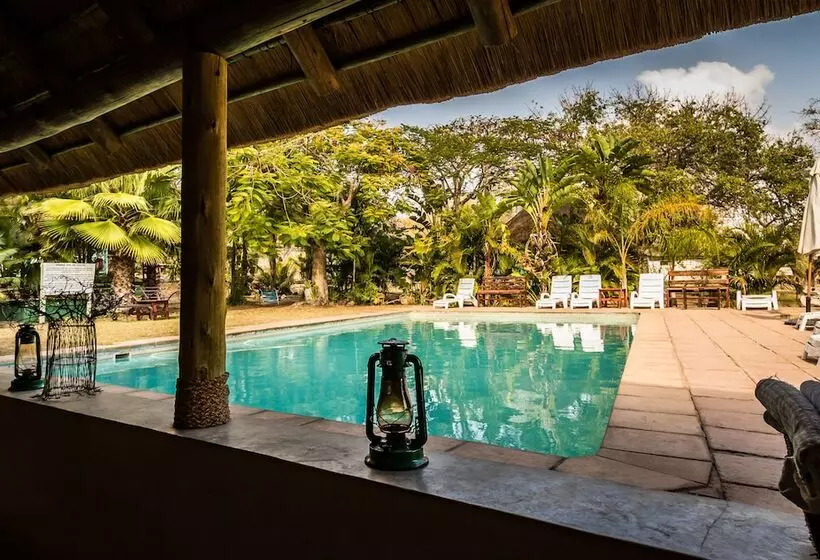 ホテル Timbavati Safari Lodge