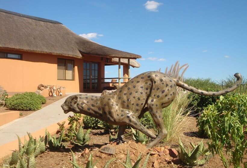 پانسیون Babson House @ Cheetah Conservation Fund