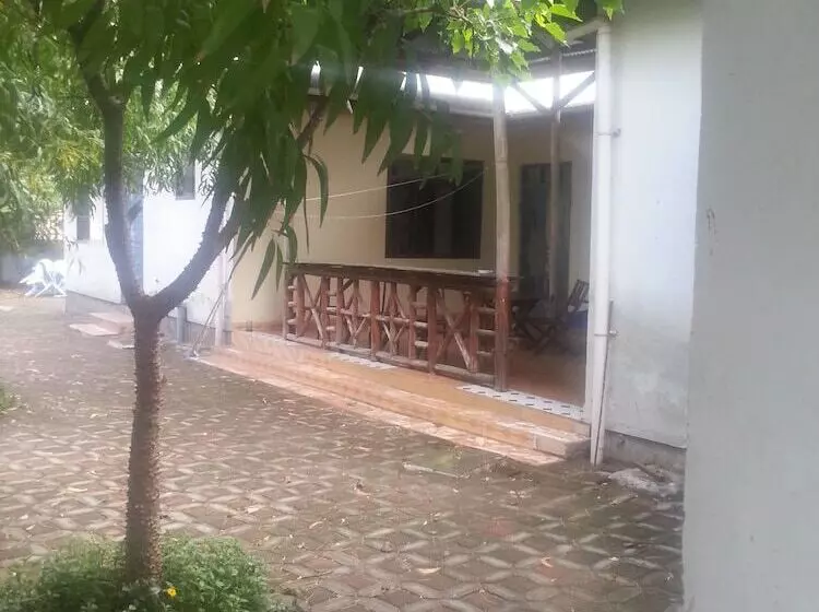 تختخواب و صبحانه Safari Oasis Bnb